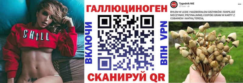 Псилоцибиновые грибы Psilocybe  где продают   ОМГ ОМГ как зайти  Приморск 